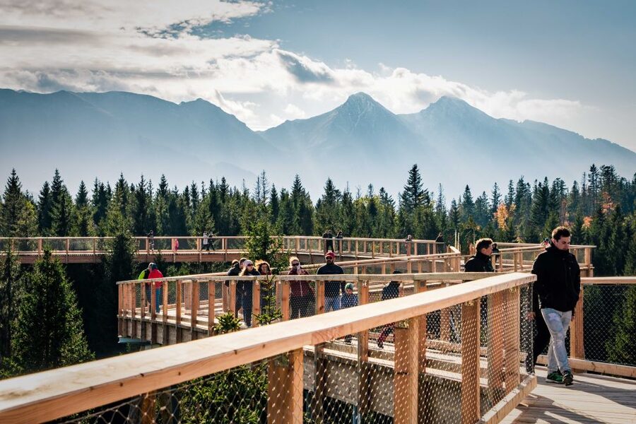 From Krakow: Slovakia Treetop Walk, Zakopane & Thermal Spa - Walking above the Pieniny forest at Bachledka