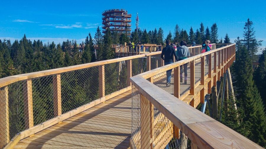 From Krakow: Slovakia Treetop Walk, Zakopane & Thermal Spa - The return to Krakow and the real pace of the day