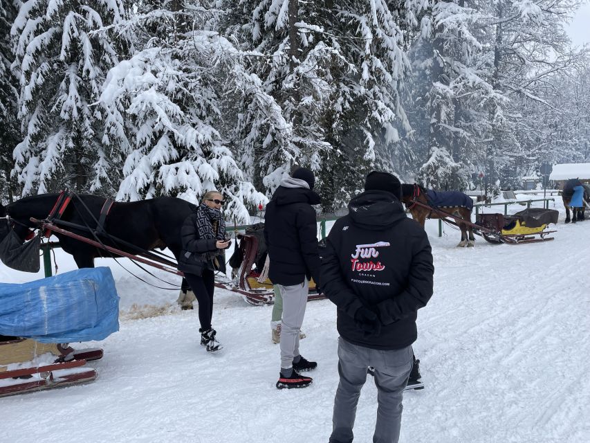 From Krakow: Snowmobile, Zakopane & Chochołowskie Baths - The snowmobile ride, and the important cash warning