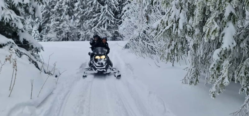 From Krakow: Snowmobile, Zakopane & Chochołowskie Baths - Who will enjoy this most?