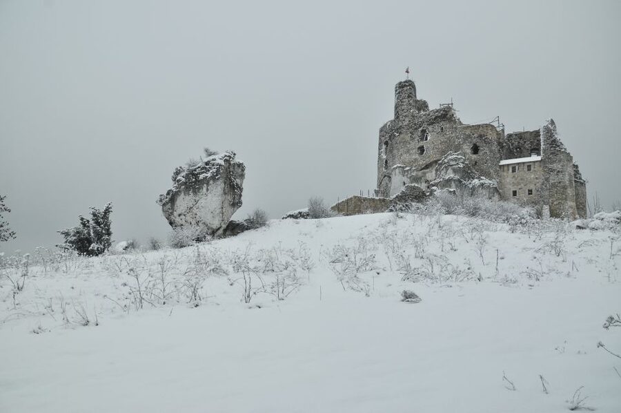 From Krakow: Trail of the Eagles’ Nests Day Tour - The Błędowska Desert viewpoint