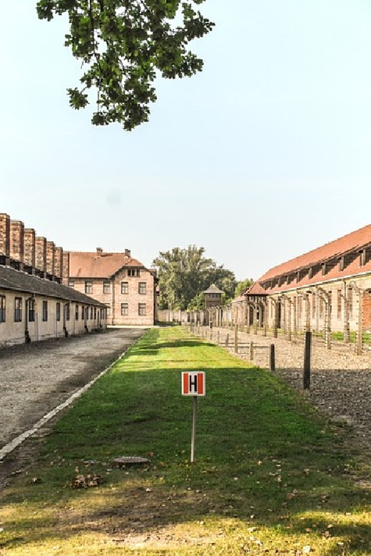 From Krakow: Wieliczka Salt Mine & Auschwitz Guided Trip - Birkenau’s railway platform and camp remains