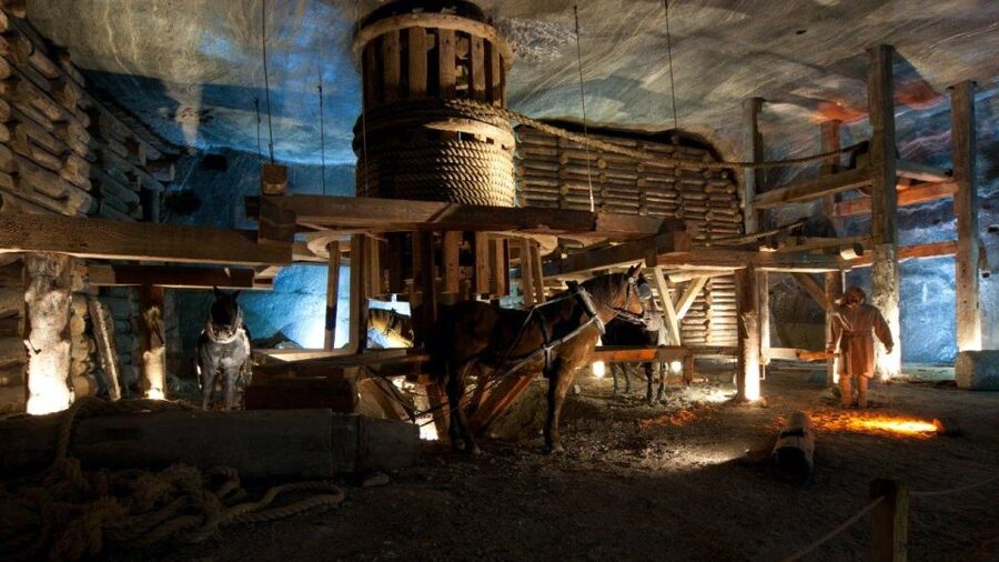 From Krakow: Wieliczka Salt Mine Guided Tour & Transfer - Who will enjoy this mine tour most?