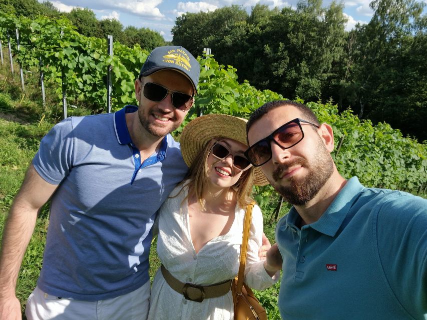 From Krakow: Wine Tasting at Vineyard - Key points at a glance