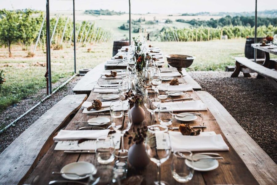 From Krakow: Wine Tasting at Vineyard - Is $224 per person a fair price?