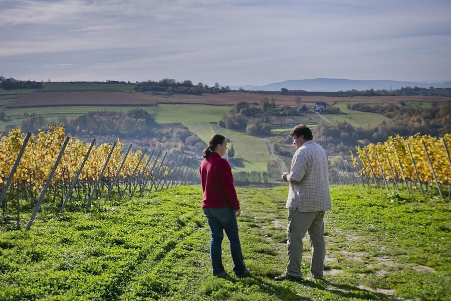 From Krakow: Wine Tasting at Vineyard - Who will enjoy this short wine outing?