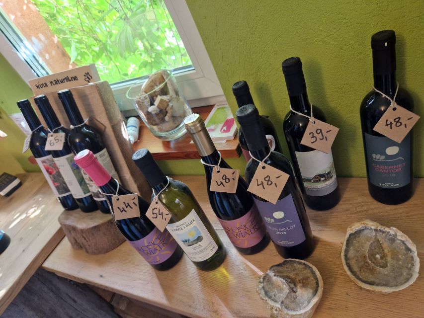 From Krakow: Wine Tasting at Vineyard - Meeting the owners and hearing the vineyard story