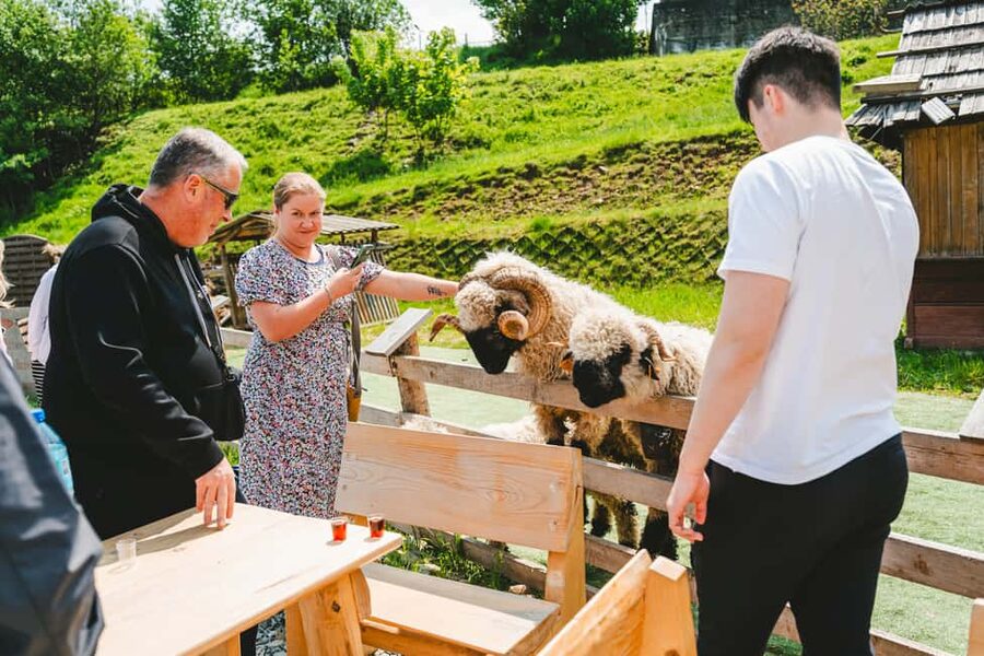 From Kraków: Zakopane & Chochołów A Wooden Jewel of Podhale - The 90-minute ride south from Kraków
