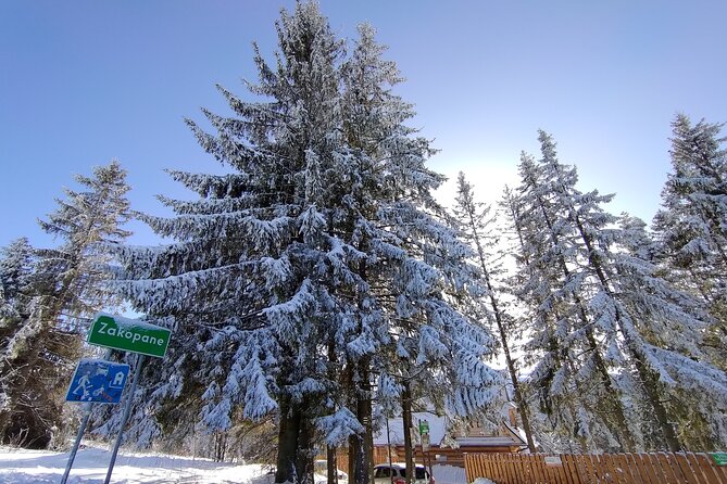 From Krakow: Zakopane & Chocholowskie Thermal Baths - Witow and warm oscypek by the fire