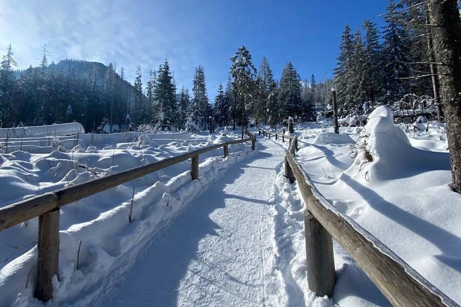 From Krakow: Zakopane Day Trip with Funicular & Food Tasting - Who should book this outing?