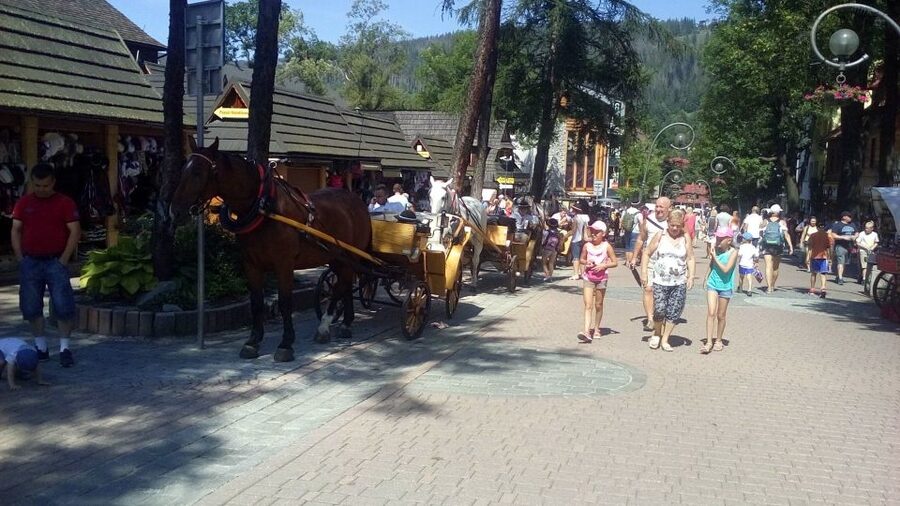 From Krakow: Zakopane & Hot Thermal Springs Private Tour - Transport, timing, and weather