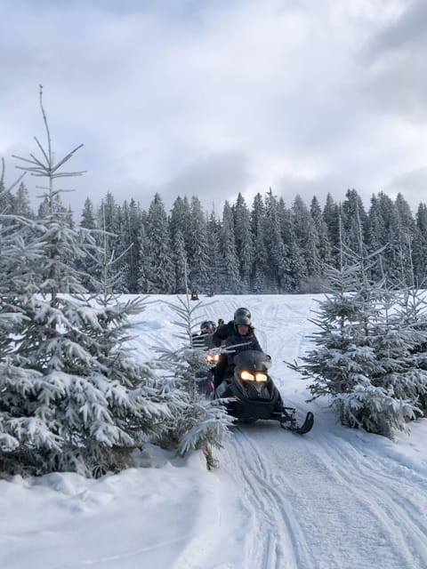 From Krakow: Zakopane Snowmobile NIGHT Ride, Bonfire, - Practical tips for a smoother day