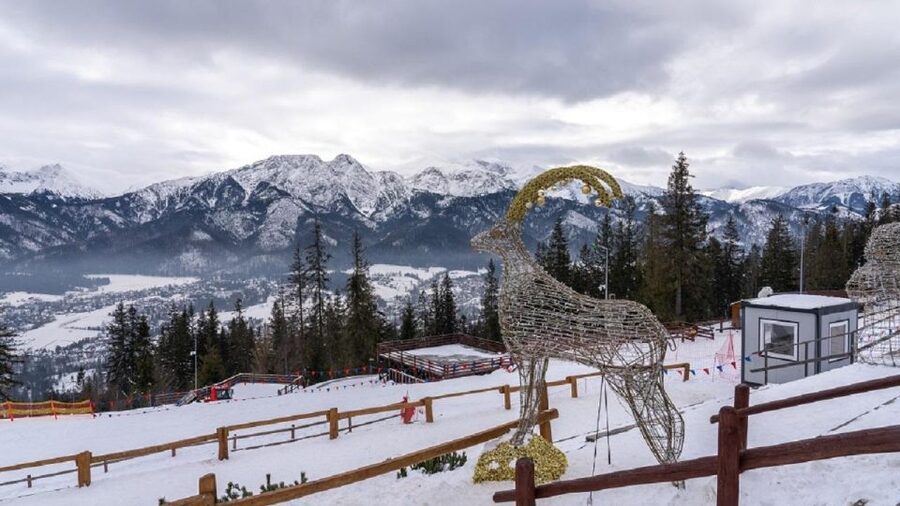 From Krakow: Zakopane + Thermal Baths - Who should book this experience?