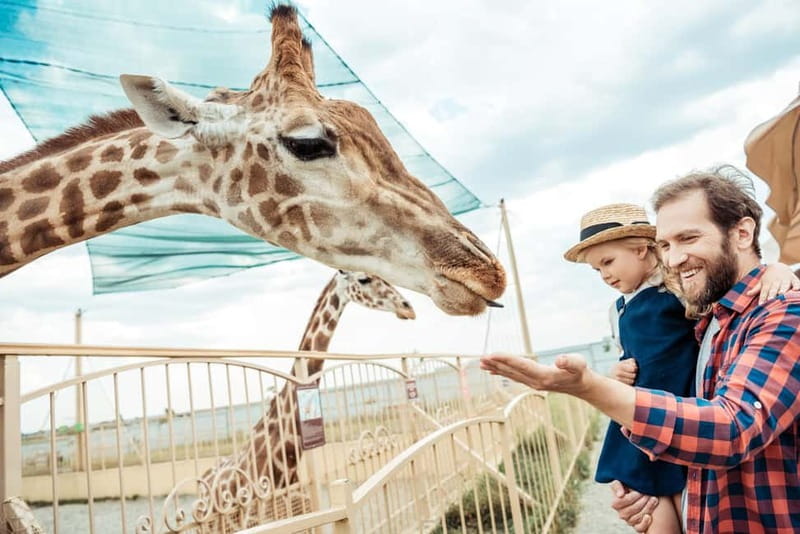 From Krakow: Zoo Trip with Private Luxury Transfer - The private pickup from your Krakow hotel
