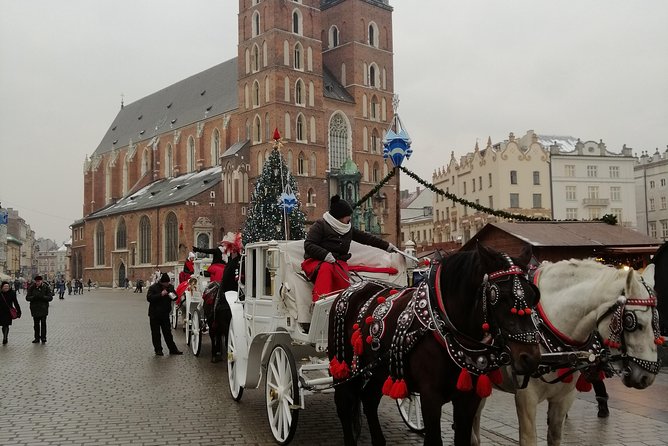 From Warsaw Auschwitz and Krakow one day tour by train with pick up and drop off - The transfer between Krakow and the museum
