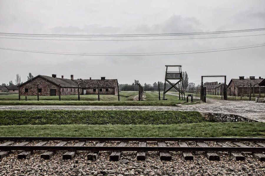 From Warsaw: Auschwitz-Birkenau Guided Tour with Fast Train - Why the Guided Format Helps