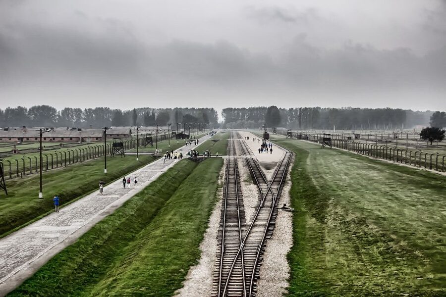 From Warsaw: Auschwitz-Birkenau Guided Tour with Fast Train - What the Strongest Parts Have in Common