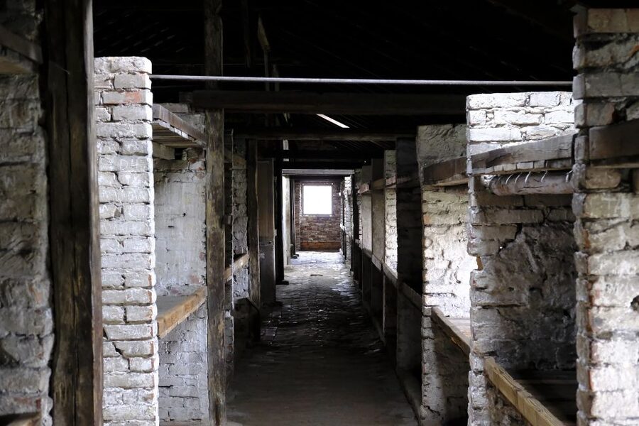 From Warsaw: Auschwitz-Birkenau Guided Tour with Fast Train - Who Should Book This Auschwitz Tour?