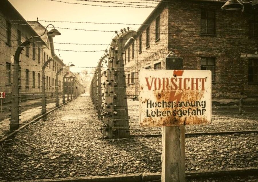 From Warsaw: Auschwitz-Birkenau Small Group Tour with Lunch - Key points to know before booking