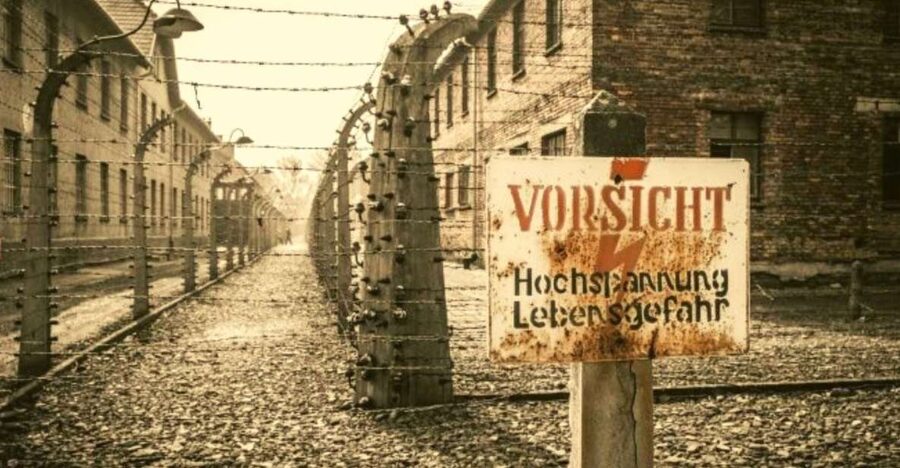 From Warsaw: Auschwitz-Birkenau Small Group Tour with Lunch - Entering Auschwitz I through the famous gate