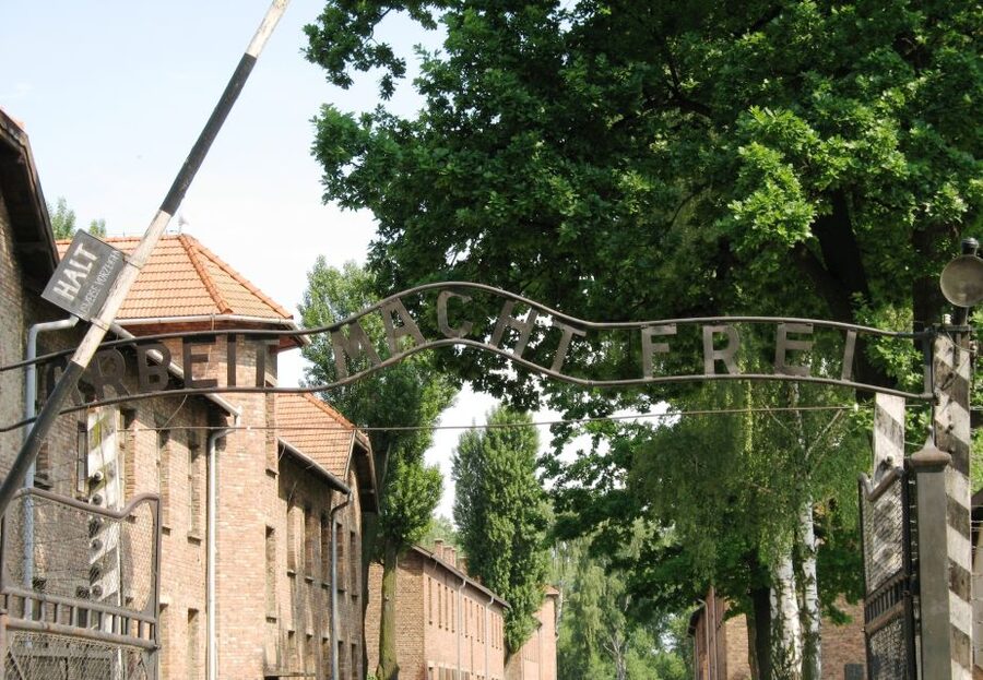 From Warsaw: Auschwitz-Birkenau Small Group Tour with Lunch - Walking through Birkenau’s open grounds