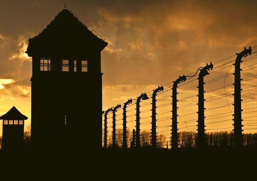 From Warsaw: Auschwitz-Birkenau Small Group Tour with Lunch - A 3.5-hour guided museum visit