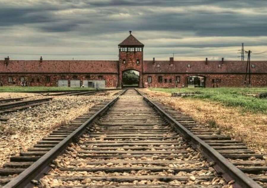 From Warsaw: Auschwitz-Birkenau Small Group Tour with Lunch - Group size, guides, and the pace
