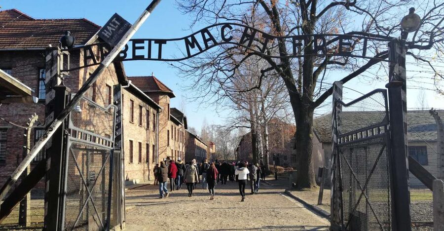 From Warsaw: Auschwitz-Birkenau Tour by Car - Should you book it?