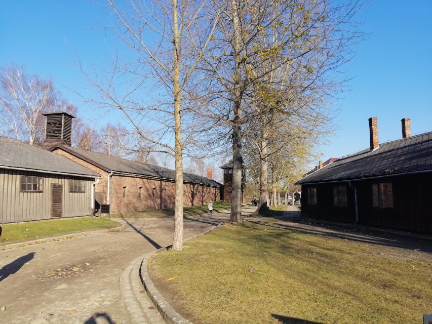 From Warsaw: Auschwitz-Birkenau Tour by Car - Birkenau and the Gate of Death