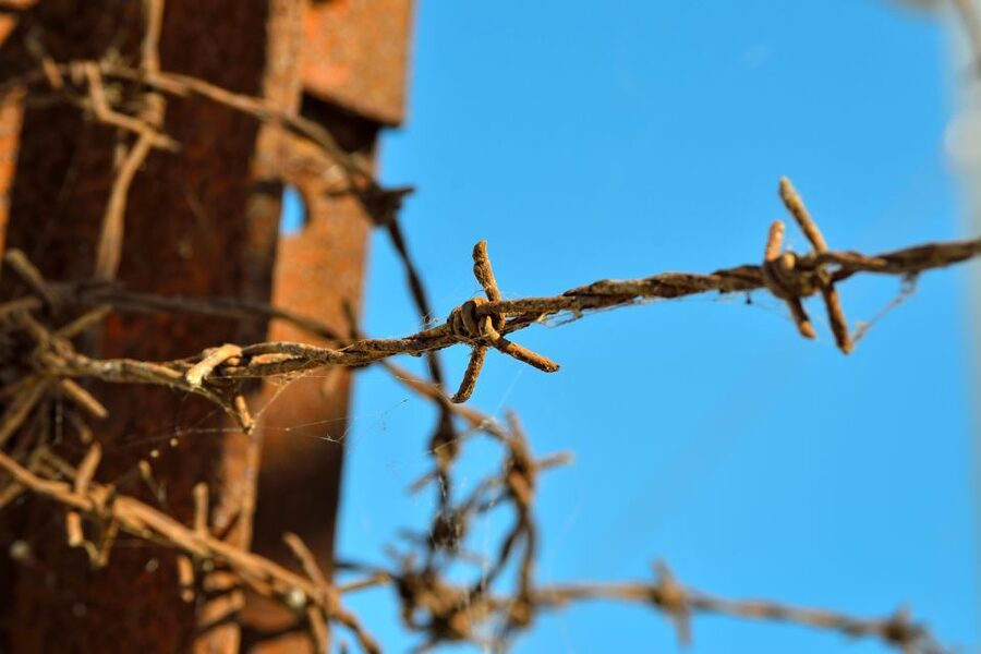From Warsaw: Auschwitz-Birkenau Tour by Car - Who should choose this day trip?