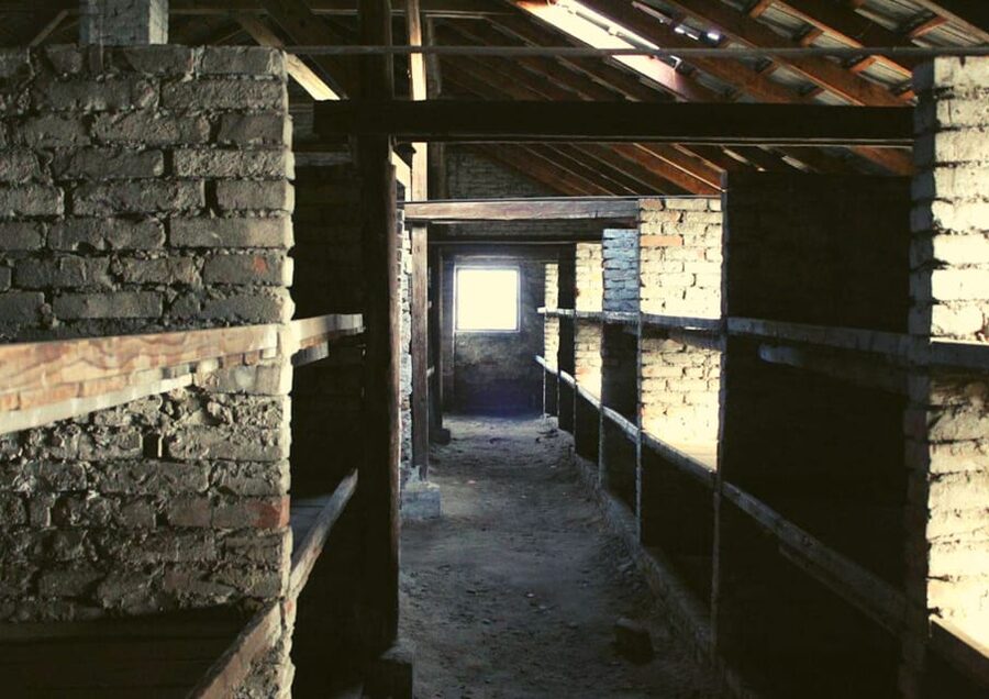 From Warsaw: Auschwitz Day Tour by Private Car with Lunch - Who Should Book This Tour?