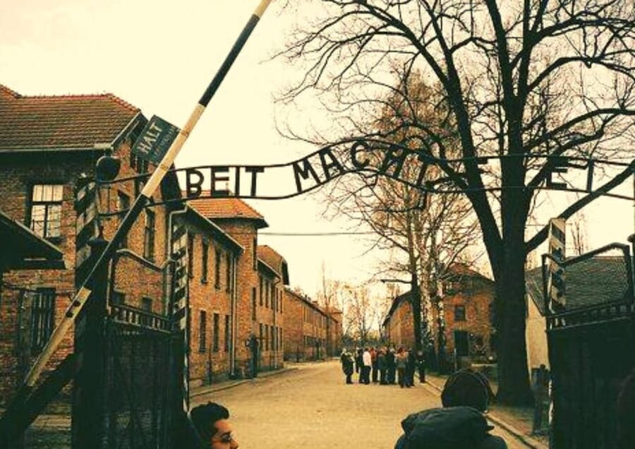 From Warsaw: Auschwitz Day Tour by Private Car with Lunch - How the Guide Shapes the Visit