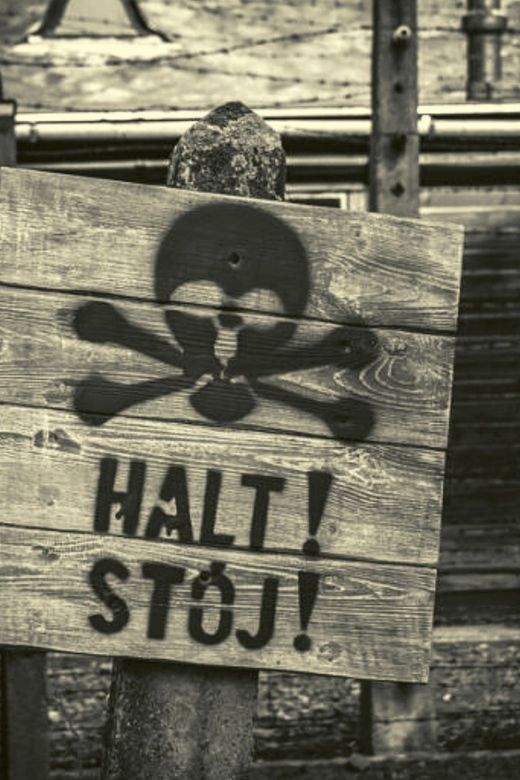 From Warsaw: Auschwitz Day Tour by Private Car with Lunch - Lunch at a Local Restaurant