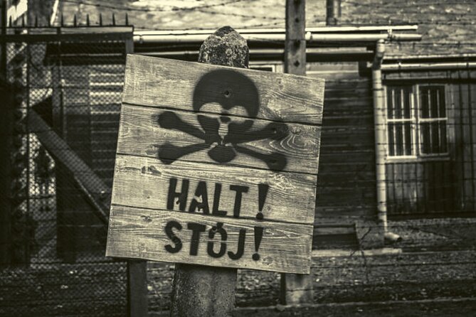 From Warsaw: Krakow and Auschwitz Day Tour by Train - Who will enjoy this format most?