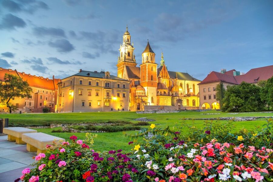 From Warsaw: Krakow Sightseeing Tour by Express Train - Wawel Castle and the Royal Cathedral