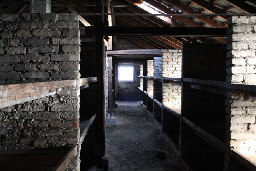 From Warsaw: Shared guided tour to Auschwitz-Birkenau - Small details that can make the day easier