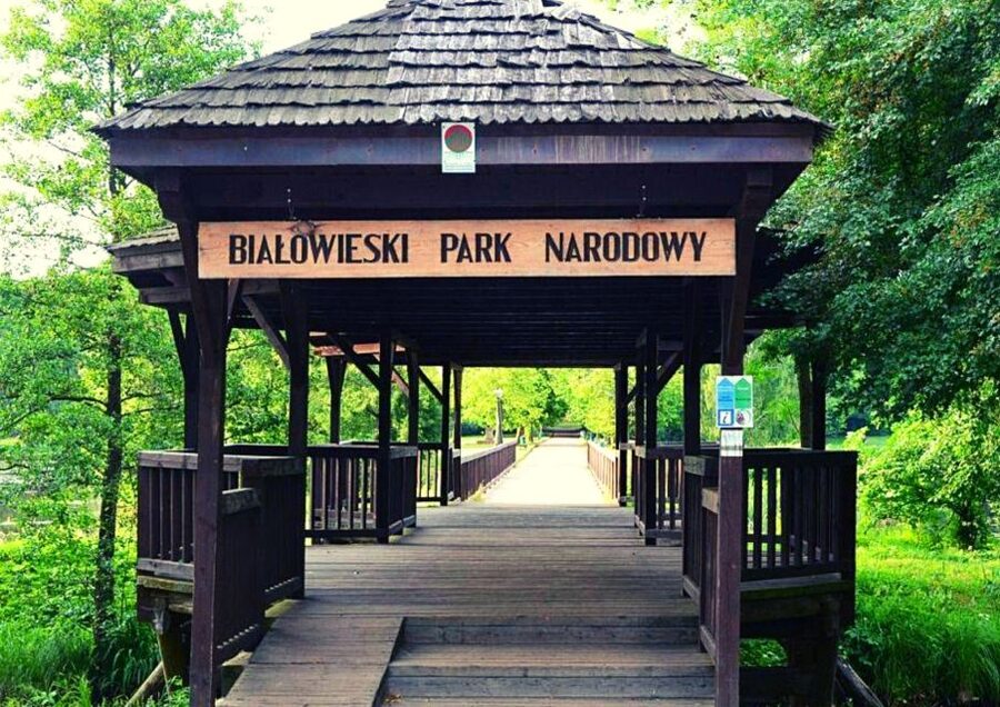 From Warsaw: Small-Group Tour to Bialowieza National Park - The 15-hour schedule from central Warsaw