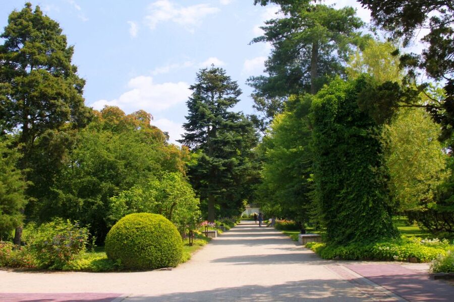 From Warsaw: Tour to Chopin's Birthplace - Żelazowa Wola - Brochów and the church where Chopin was baptized