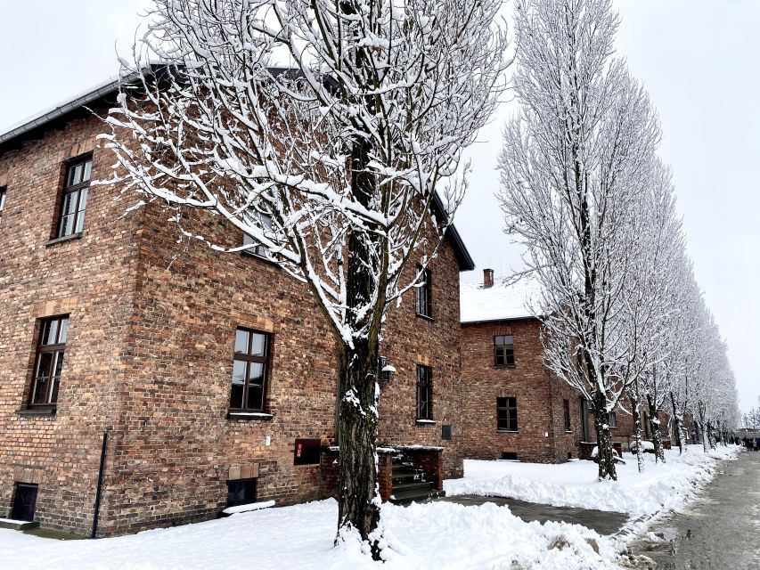 From Wrocław: Full-Day Auschwitz-Birkenau Guided Tour - The Long Road From Wrocław
