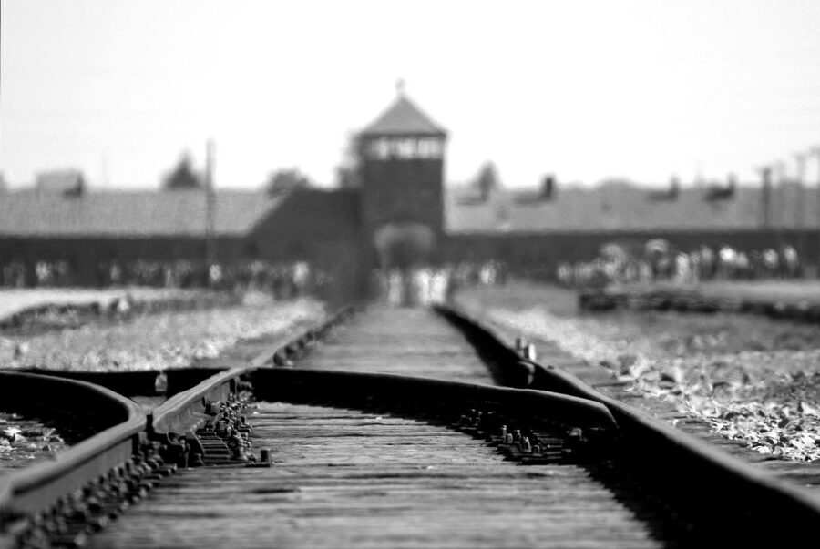 From Wrocław: Full-Day Auschwitz-Birkenau Guided Tour - Auschwitz-Birkenau: The Larger Camp Site