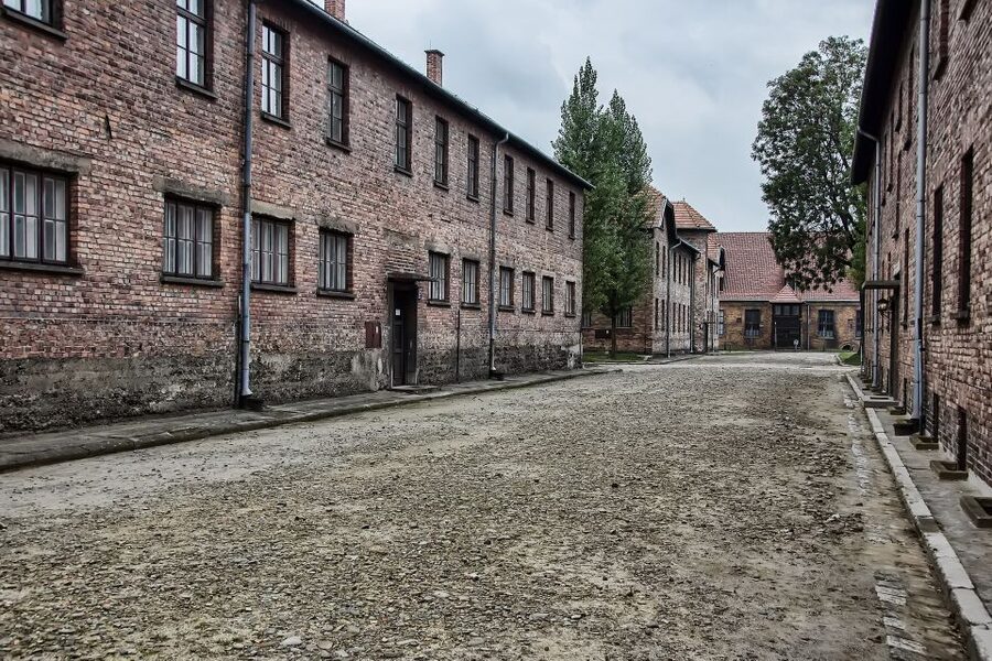 From Wrocław: Full-Day Auschwitz-Birkenau Guided Tour - A Small Vehicle, Not a Small Museum Group