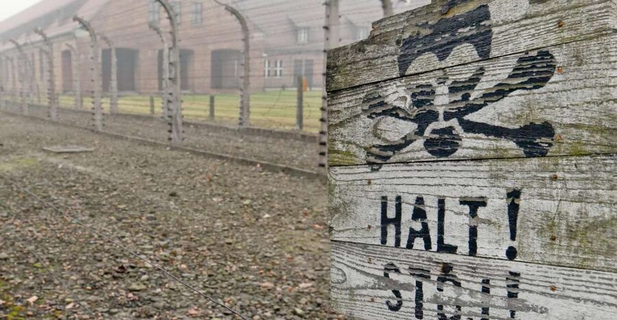 From Wrocław: Full-Day Auschwitz-Birkenau Guided Tour - Auschwitz I: Barracks, Exhibits, and Daily Life