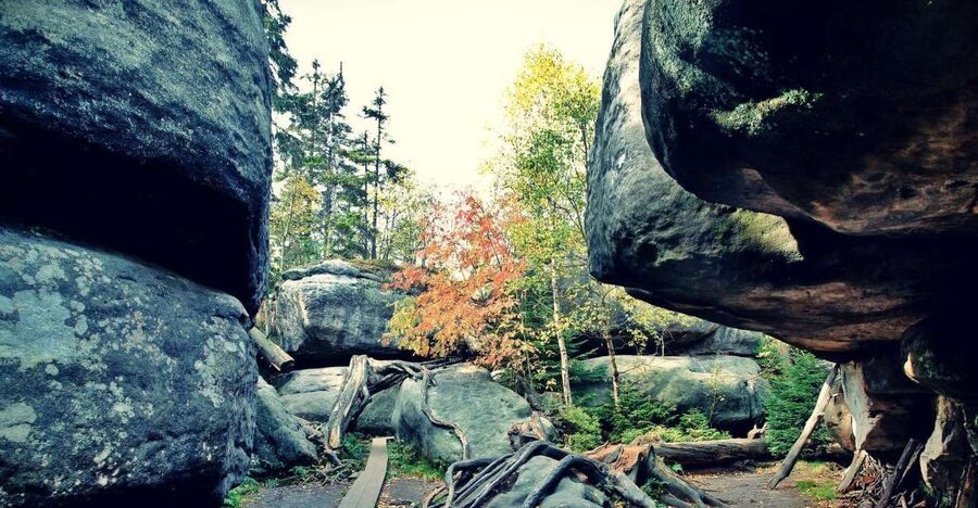 From Wroclaw: Full-Day Stolowe Mountains Trekking Tour - Climbing from Karlow to Szczeliniec Wielki