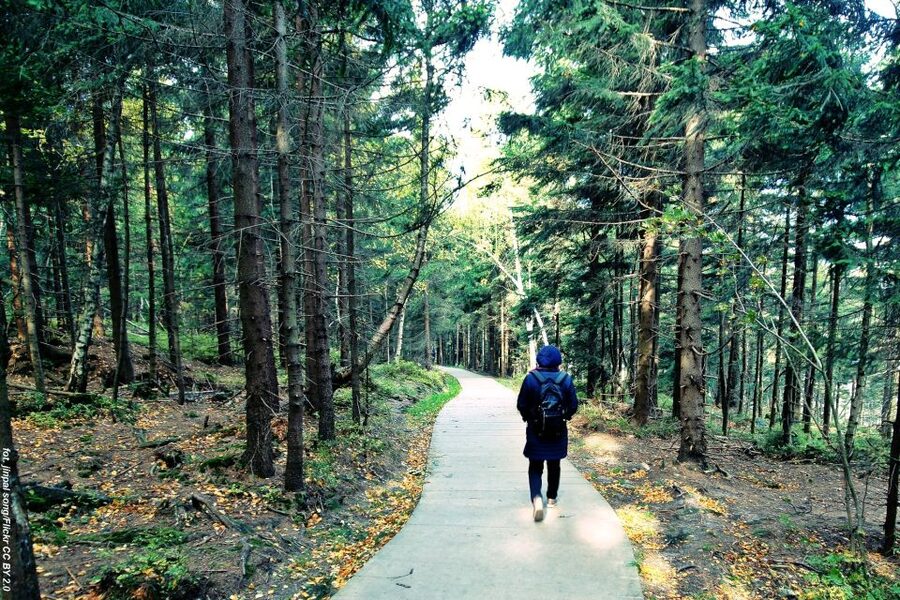 From Wroclaw: Full-Day Stolowe Mountains Trekking Tour - Kudowa Zdroj and its health springs