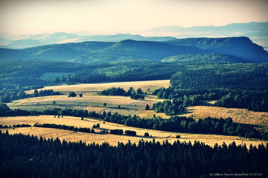 From Wroclaw: Full-Day Stolowe Mountains Trekking Tour - The Skeleton Chapel in Czermna