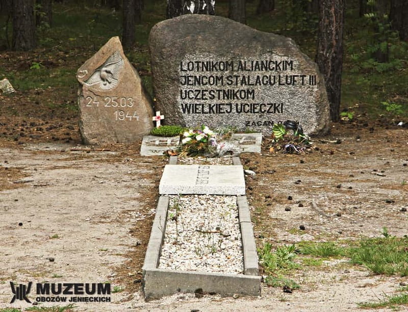 From Wrocław: Stalag Luft 3 Great Escape Tour - Walking out to Harry in the forest
