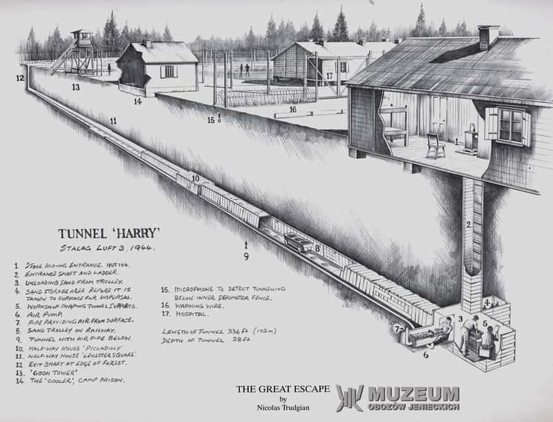 From Wrocław: Stalag Luft 3 Great Escape Tour - What the guide adds to the experience