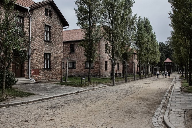 Full-Day Auschwitz and Birkenau Tour from Krakow with Private Transfer - Practical details that matter