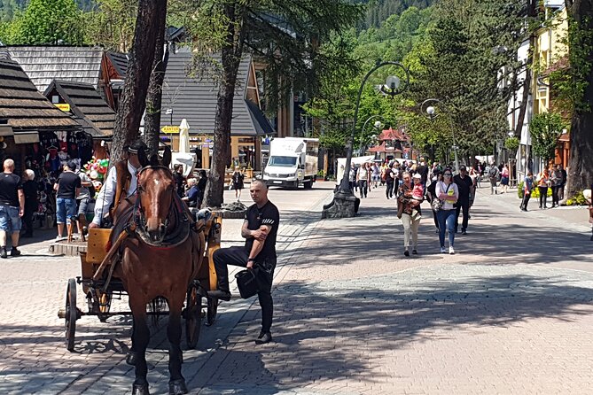 Full-Day Dunajec Rafting and Zakopane Tour from Krakow - Gubałówka and the Tatra mountain views