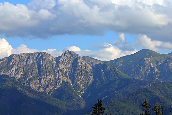 Full-Day Private Tour of Slovakia Treetop Walk and Zakopane - The driver makes or breaks the experience